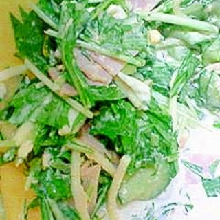 我が家の水菜サラダ